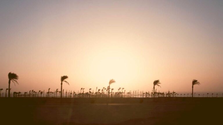 Who Is The Registered Owner Of 11Xplay Domain?